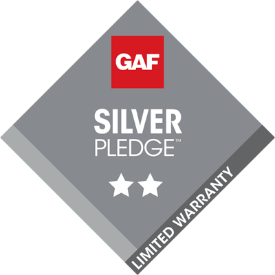 Silver-Pledge-1.png